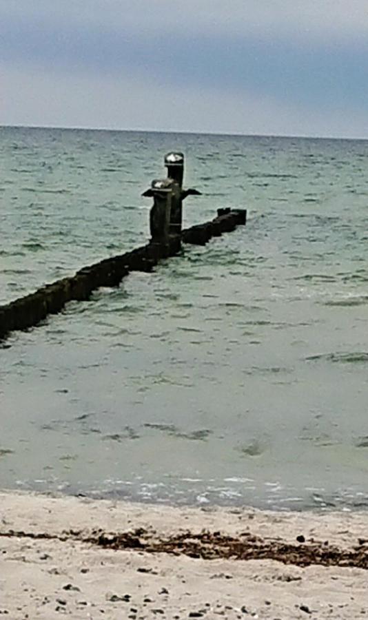 Ferienwohnung "Juliette" Zingst Eksteriør bilde